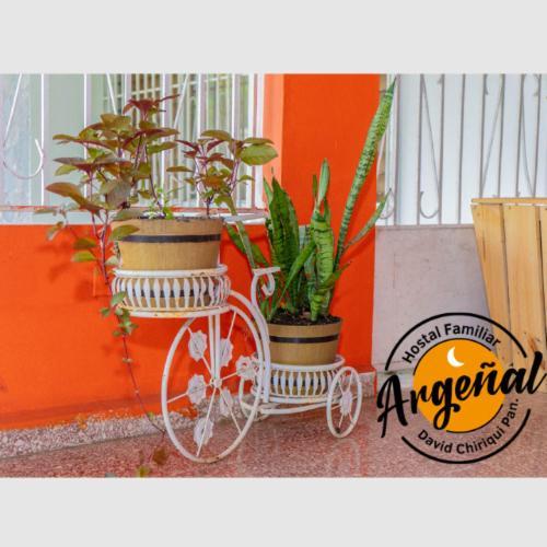 Hostal Familiar Argenal - Давид Экстерьер фото